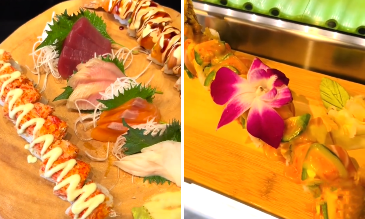 Wasabi Sushi Bistro and Sake Pub Wasabi Sushi Bistro and Sake Pub