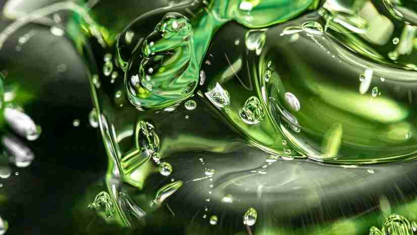 Chlorophyll inside plant cells converting sunlight into energy