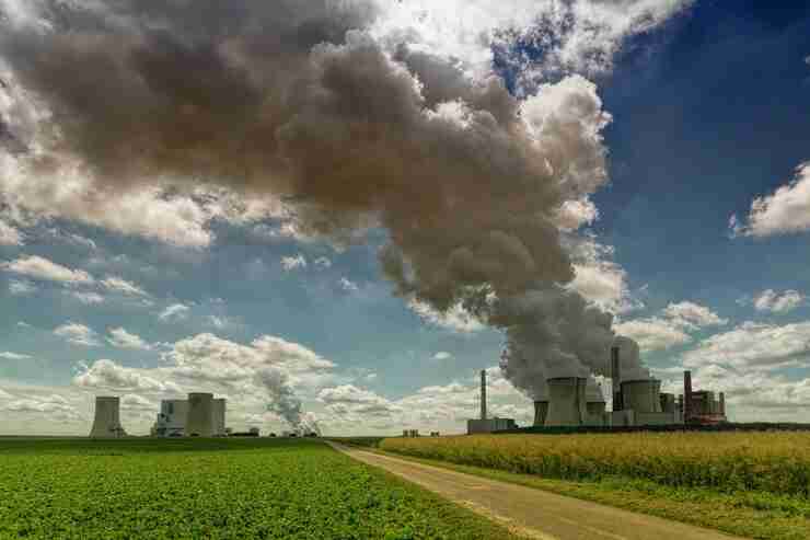 How plants use carbon dioxide in photosynthesis to make food