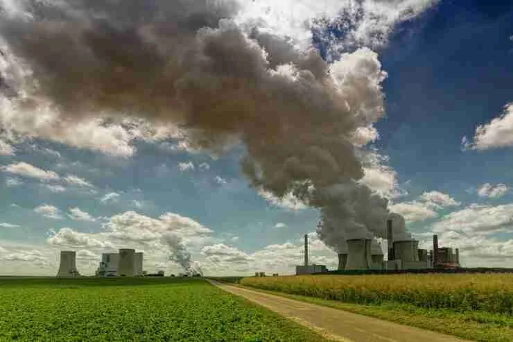 How plants use carbon dioxide in photosynthesis to make food
