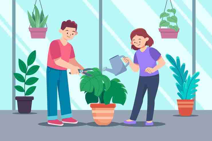 How to provide essential nutrients and water to plants