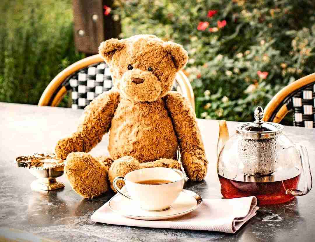 12 Romantic Restaurants in San Antonio for the Perfect Date Night