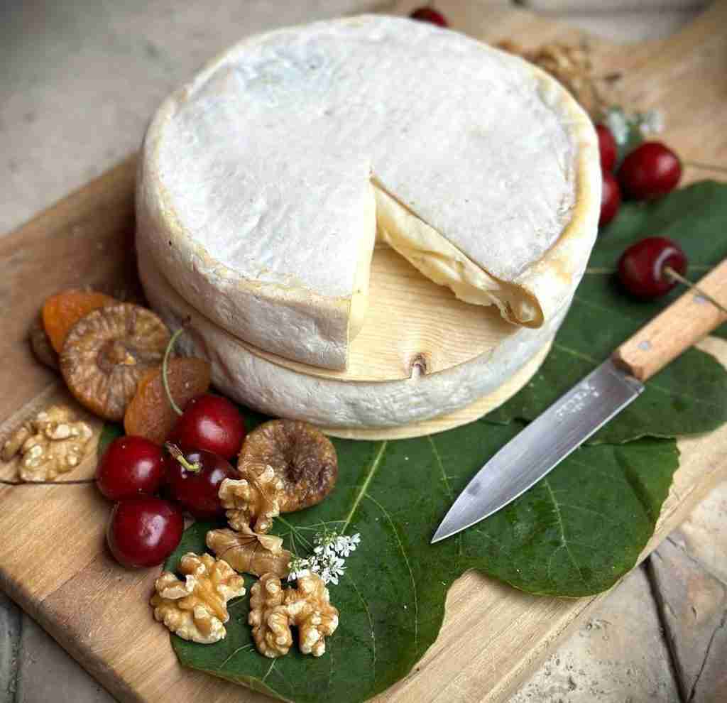Cheese Tasting