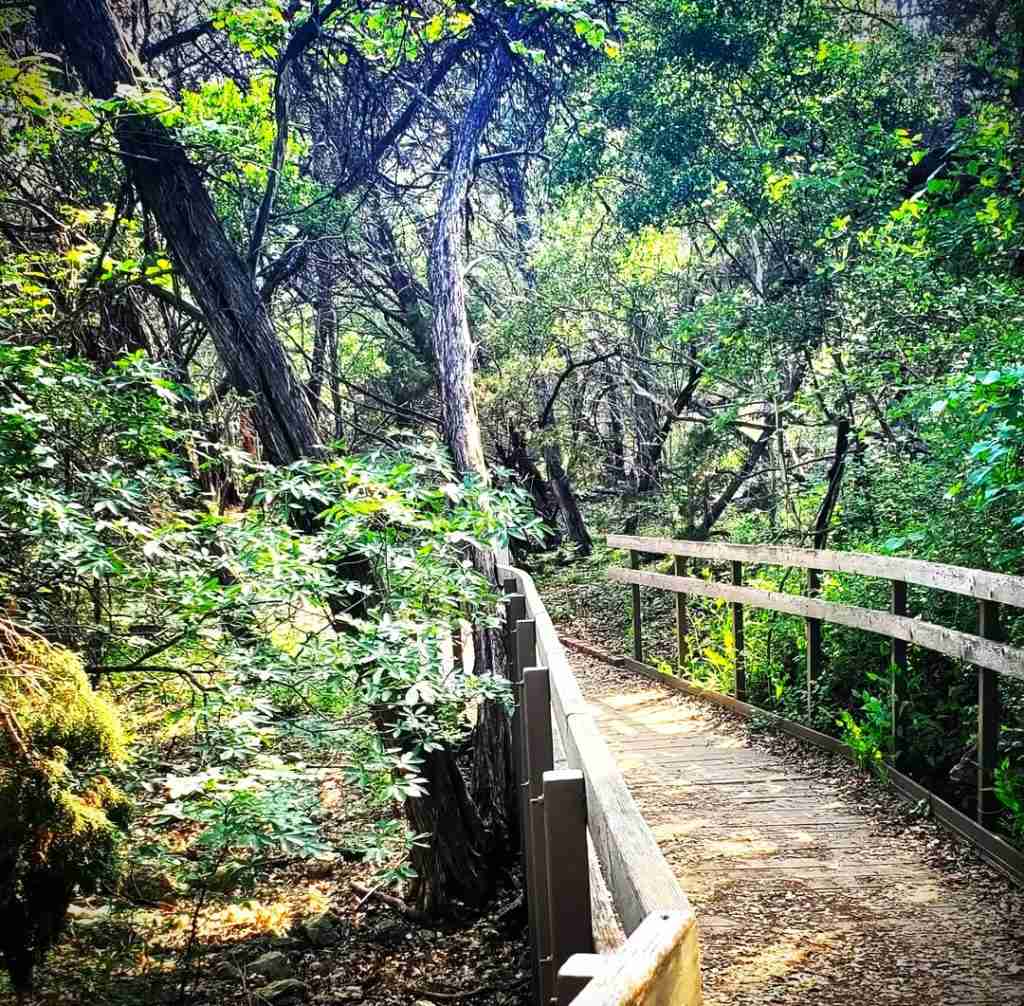Hike in the Friedrich Wilderness Park
