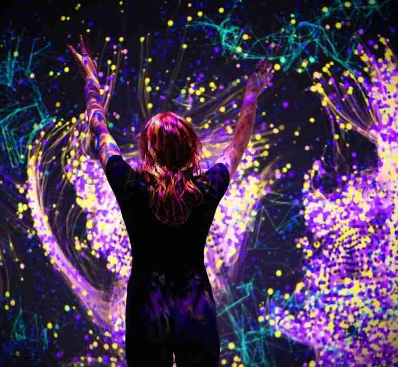 Immersive Art Exhibit