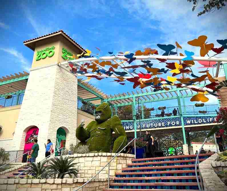 Walk Around the San Antonio Zoo