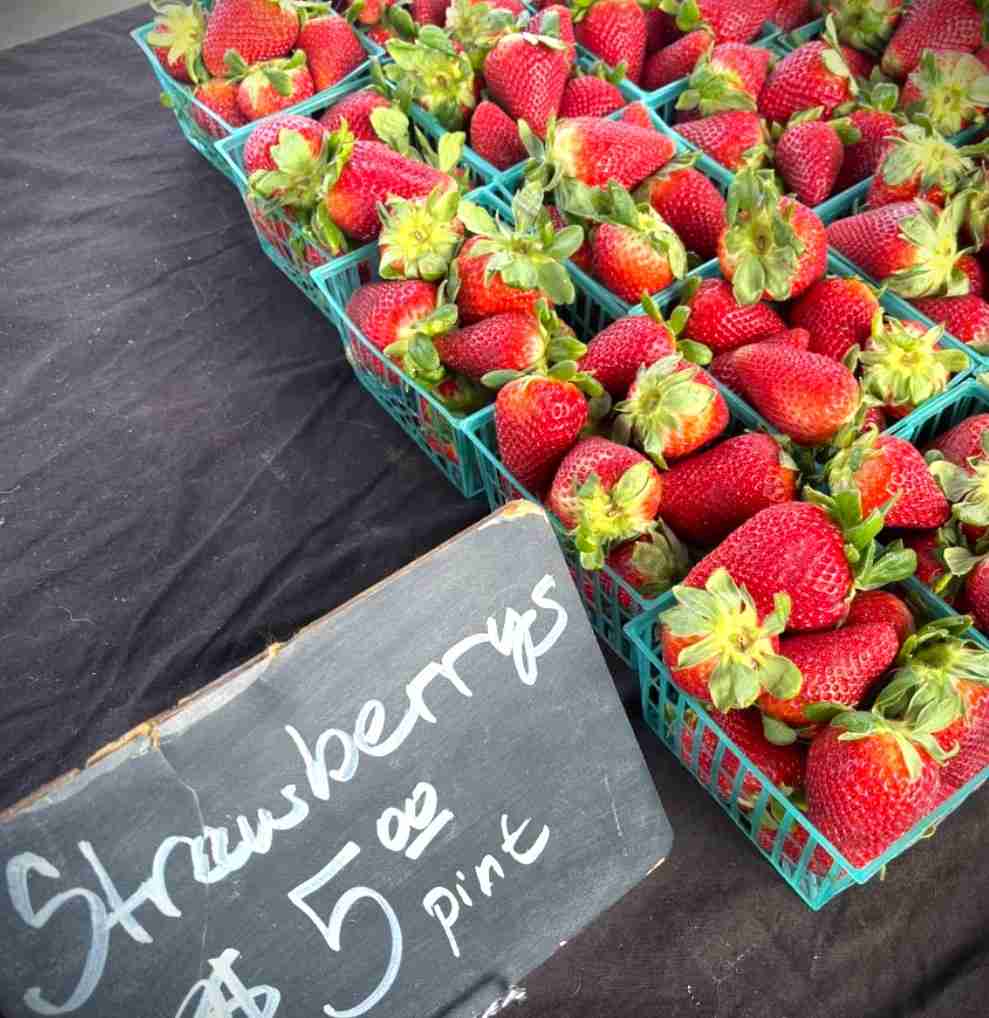 New Braunfels Farmers Market Eateries