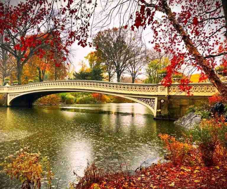 Top 10 Restaurants to Try While Exploring Things to Do in New York