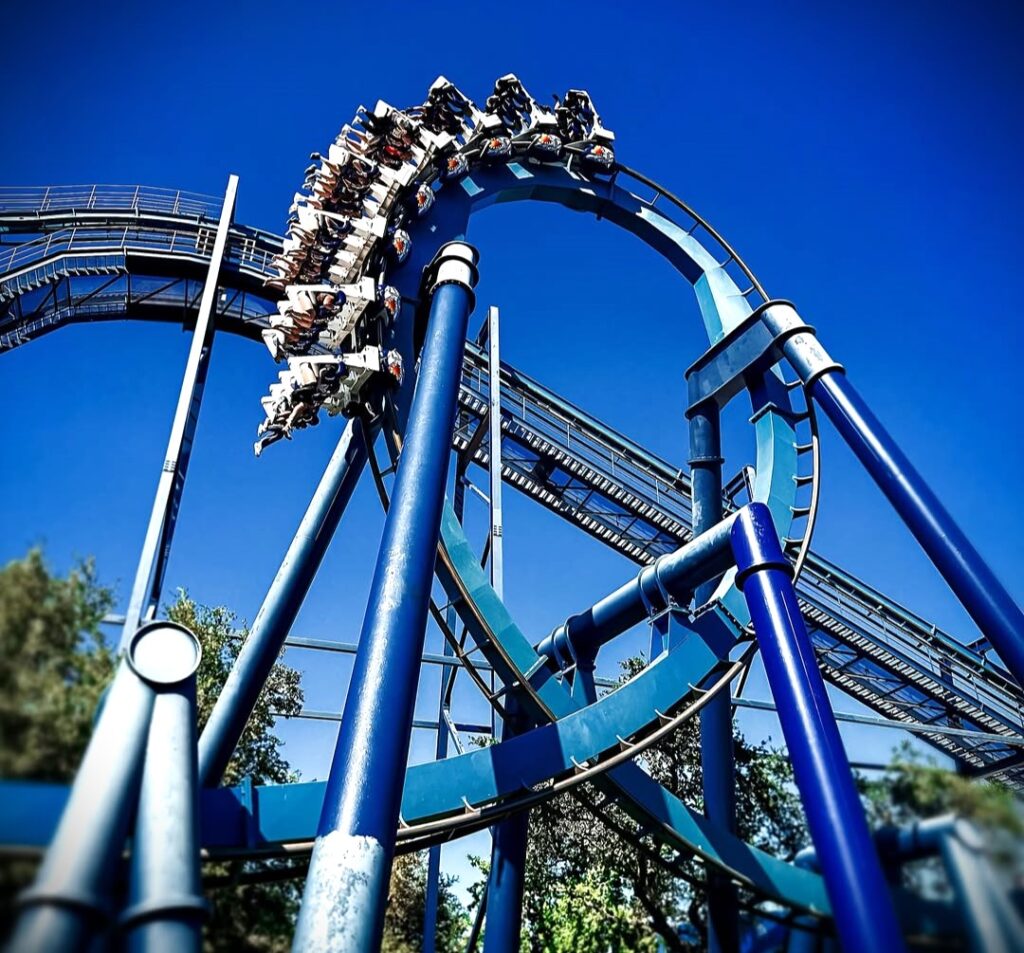 The Thrill of Rides